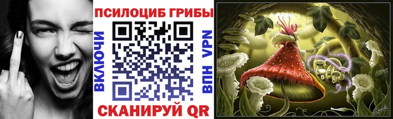 Псилоцибиновые грибы MAGIC MUSHROOMS  наркотики  Пущино 